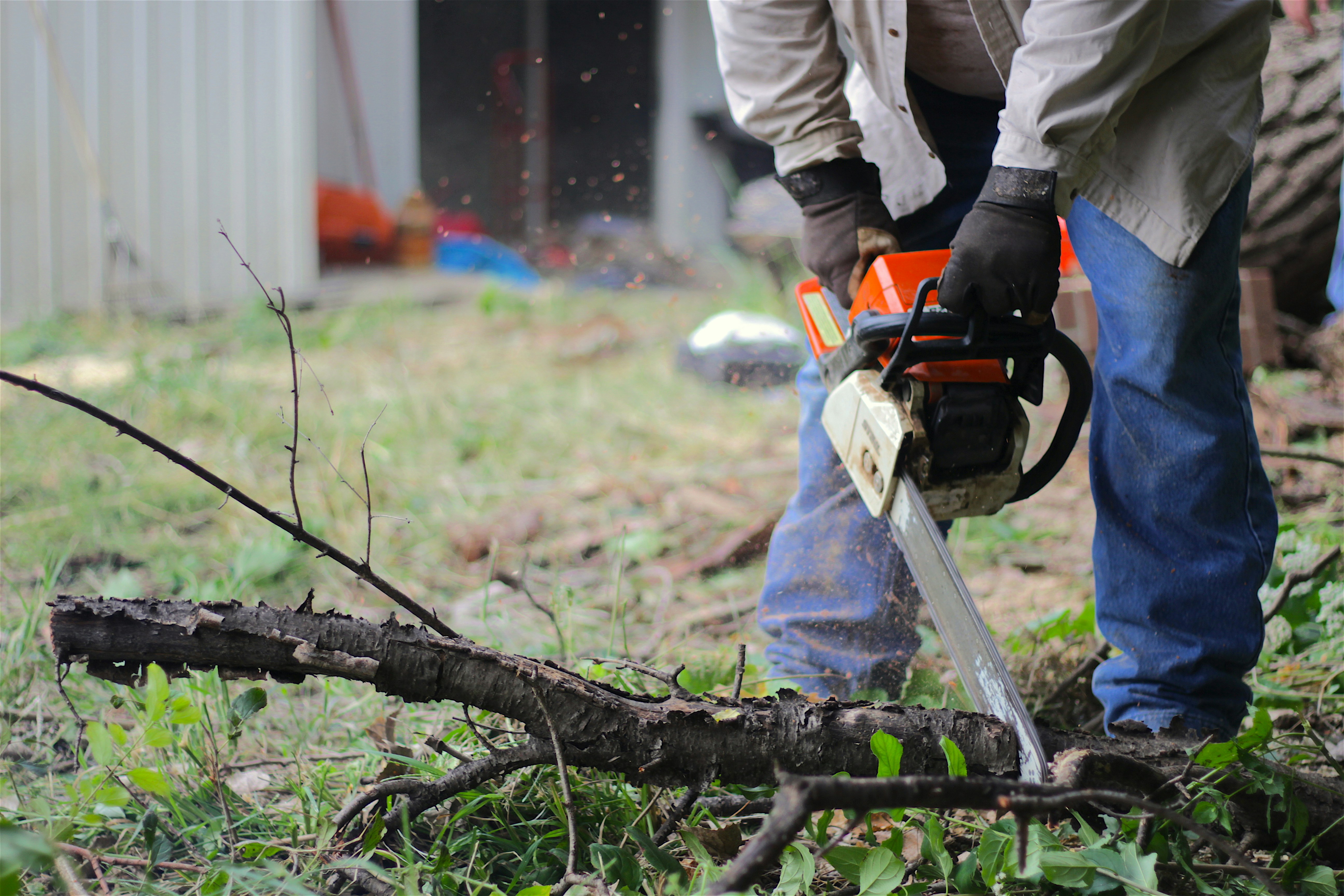 Tree Geeks professional arborist using chainsaw for tree removal